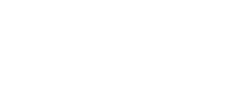 FlexSur